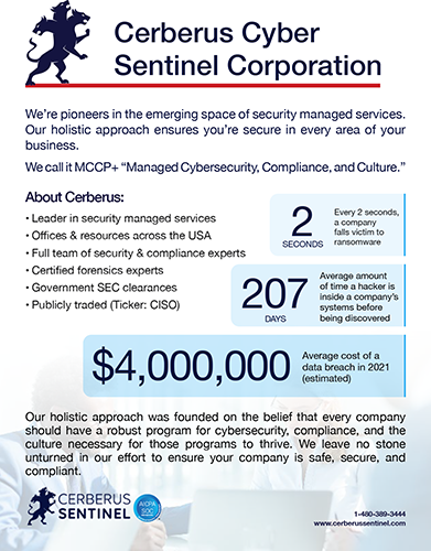 Cerberus Sentinel – Company Overview
