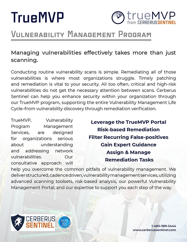 TrueMVP - Service Overview. Cerberus Sentinel specializes in cybersecurity solutions that build a culture of security within an organization Image 1